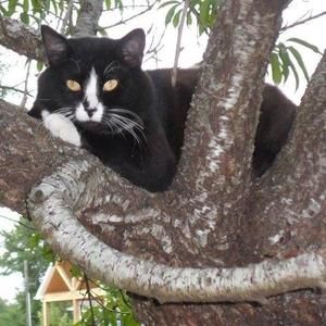 Meet your Posher, Melanie